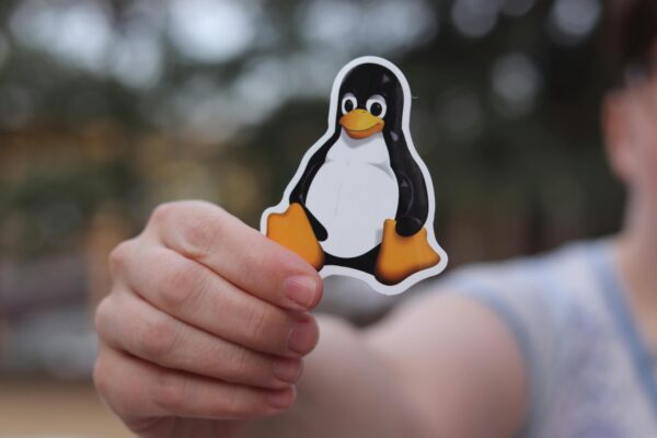 The Year of the Linux Desktop: Will 2025 Be the Turning Point for Linux Adoption?